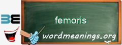 WordMeaning blackboard for femoris